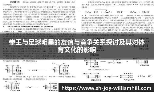 拳王与足球明星的友谊与竞争关系探讨及其对体育文化的影响
